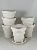 Ben Wolff #1 Full Pot in White Clay. Sealed saucer with felt pads. 4”H x 4”W --- MULTIPLE AVAILABLE