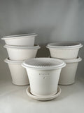 Ben Wolff #4 Tuscan Rim Half Pot in White Clay.  Sealed saucer with cork pads. 6”H x 8”W --- MULTIPLE AVAILABLE