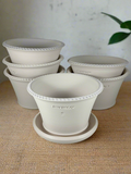 Ben Wolff #2 Dotted Rim Half Pot in White Clay. Sealed #4 saucer with cork pads. 4”H x 6.5”W --- MULTIPLE AVAILABLE