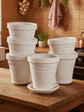 Ben Wolff #1 Full Pot in White Clay. Sealed saucer with felt pads. 4”H x 4”W --- MULTIPLE AVAILABLE