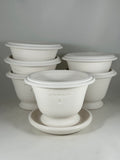 Ben Wolff #2 Roman Half Pot in White Clay. Sealed saucer with cork pads. 4.5”H x 6.25”W --- MULTIPLE AVAILABLE