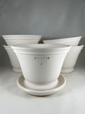 Ben Wolff #4 Gale Half Pot in White Clay. Sealed #6 saucer with cork pads. 5.75”H x 8.25”W --- MULTIPLE AVAILABLE