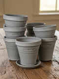 Ben Wolff #1 Full Pot in Grey Finish. Sealed saucer with felt pads. 4“H x 4”W --- MULTIPLE AVAILABLE