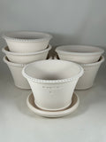 Ben Wolff #2 Dotted Rim Half Pot in White Clay. Sealed #4 saucer with cork pads. 4”H x 6.5”W --- MULTIPLE AVAILABLE