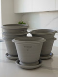Ben Wolff #4 Roman Half Pot in Grey Finish. Sealed saucer with cork pads. 6”H x 8”W --- MULTIPLE AVAILABLE