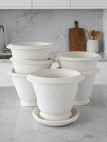 Ben Wolff #4 Roman Half Pot in White Clay. Sealed saucer with cork pads. 6”H x 8”W --- MULTIPLE AVAILABLE