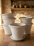 Ben Wolff #4 Tuscan Rim Half Pot in White Clay.  Sealed saucer with cork pads. 6”H x 8”W --- MULTIPLE AVAILABLE